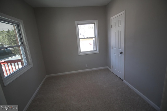 carpeted empty room featuring a wealth of natural light and baseboards