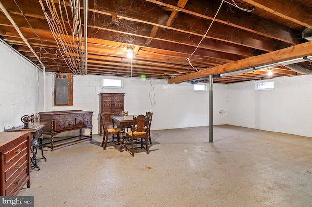 basement featuring a healthy amount of sunlight and electric panel