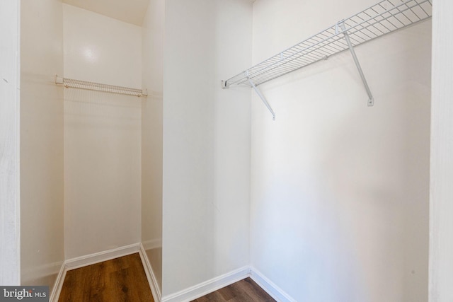 walk in closet featuring dark wood-style flooring