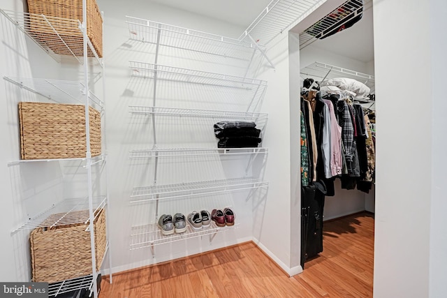 spacious closet featuring wood finished floors