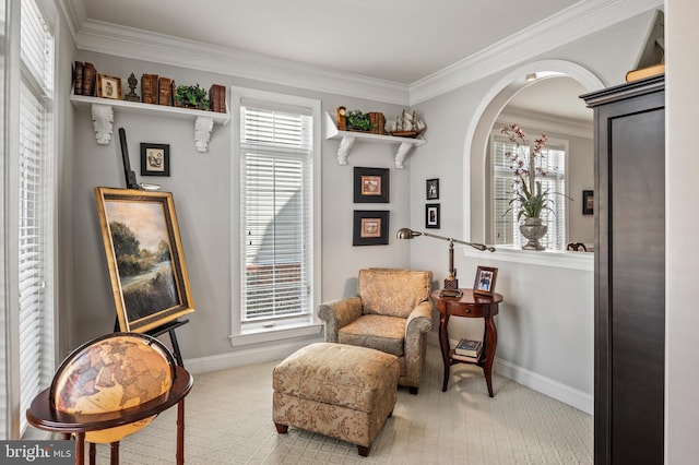 living area featuring plenty of natural light, crown molding, and carpet flooring