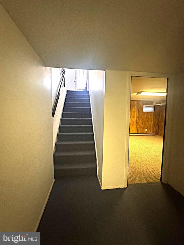 stairway with carpet floors