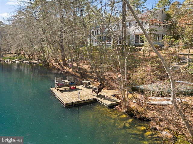 dock area with a water view