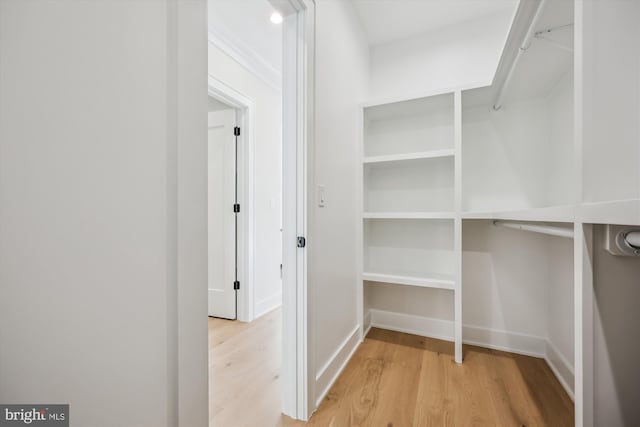 spacious closet featuring light wood-style floors