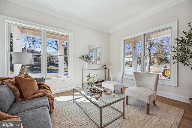 sitting room with baseboards, wood finished floors, a healthy amount of sunlight, and ornamental molding