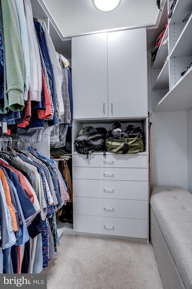 walk in closet with light carpet