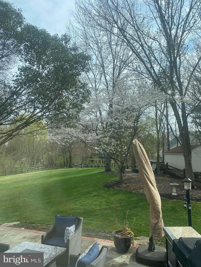 view of yard featuring a patio