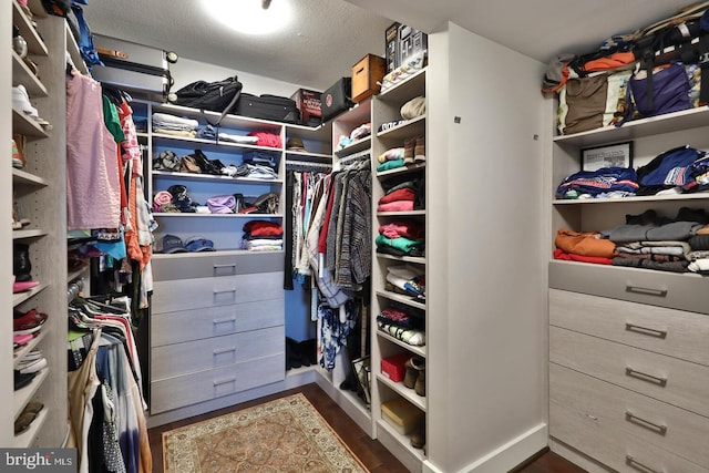 spacious closet featuring dark wood-type flooring