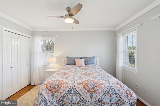 bedroom featuring multiple windows, crown molding, and wood finished floors