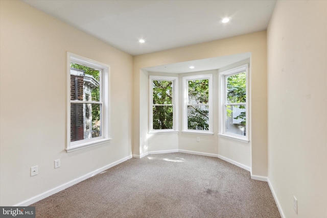 empty room with carpet flooring, a wealth of natural light, and baseboards