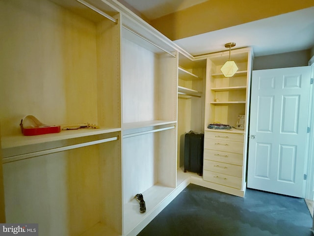 view of walk in closet