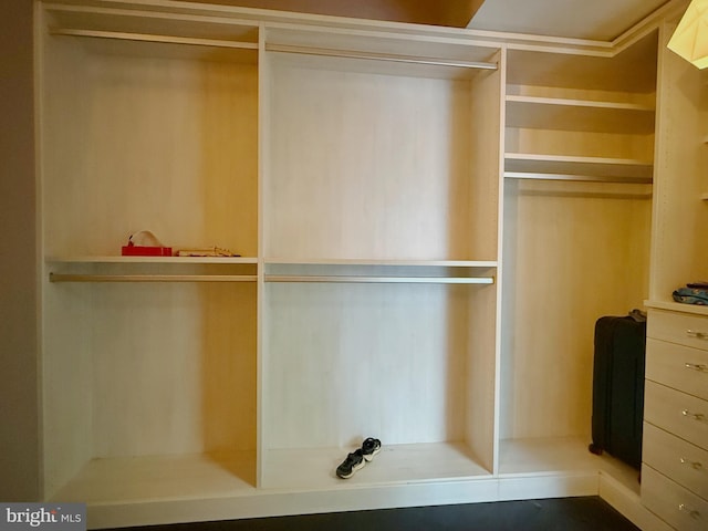 view of closet