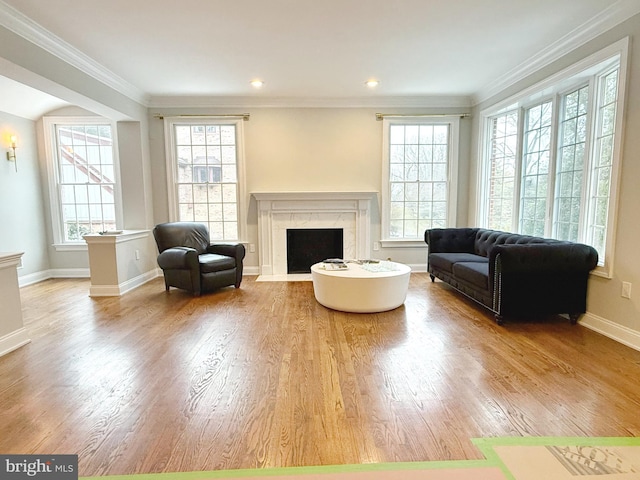 living area featuring baseboards, ornamental molding, wood finished floors, and a high end fireplace