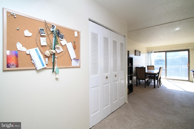 corridor featuring carpet floors