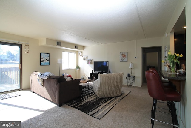 living area with carpet and visible vents