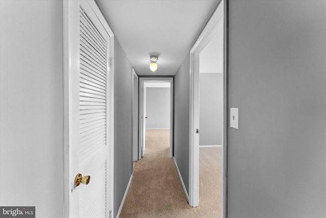 corridor with carpet and baseboards