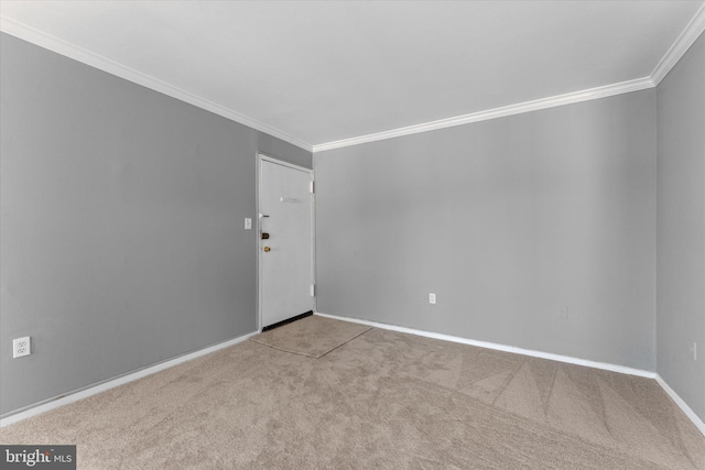 spare room featuring baseboards, carpet flooring, and crown molding