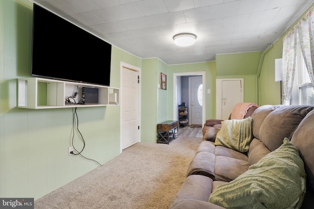 living area with carpet flooring