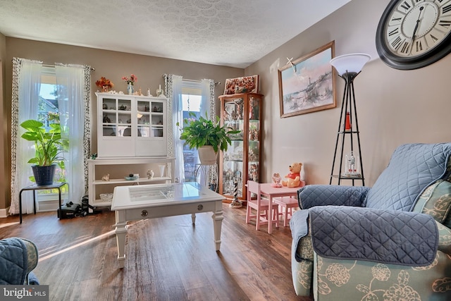 living area featuring a wealth of natural light, a textured ceiling, and wood finished floors