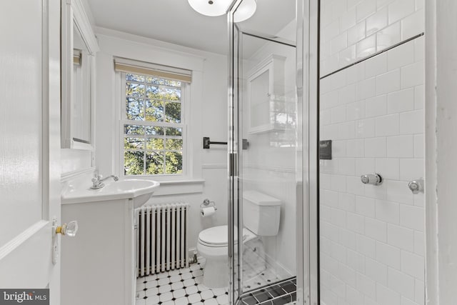 bathroom with radiator, a shower stall, toilet, and vanity