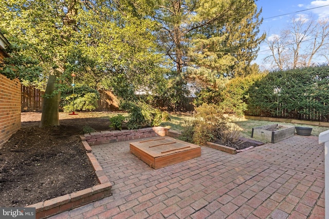 view of patio / terrace featuring a fenced backyard and a vegetable garden