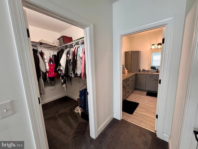 spacious closet featuring carpet flooring