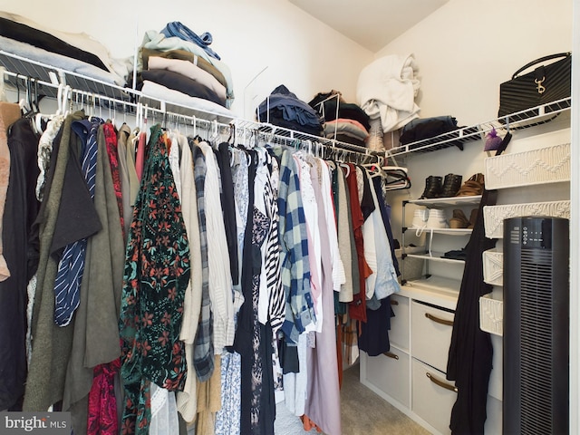 spacious closet with carpet flooring