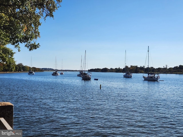 property view of water