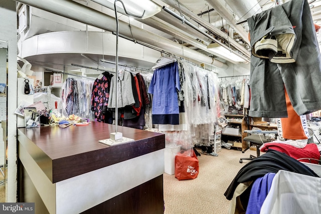 spacious closet featuring carpet flooring