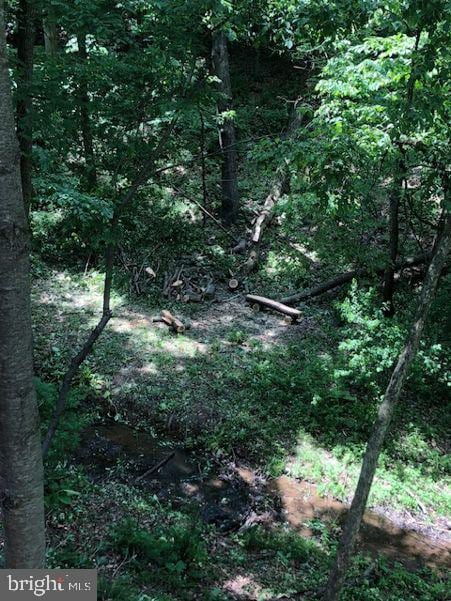 view of nature featuring a wooded view