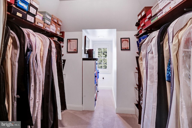 walk in closet with carpet floors