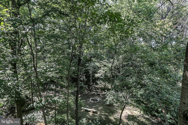 view of local wilderness featuring a view of trees