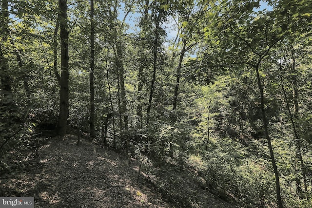 view of landscape with a view of trees