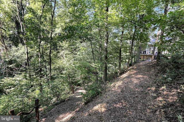 view of yard with a view of trees