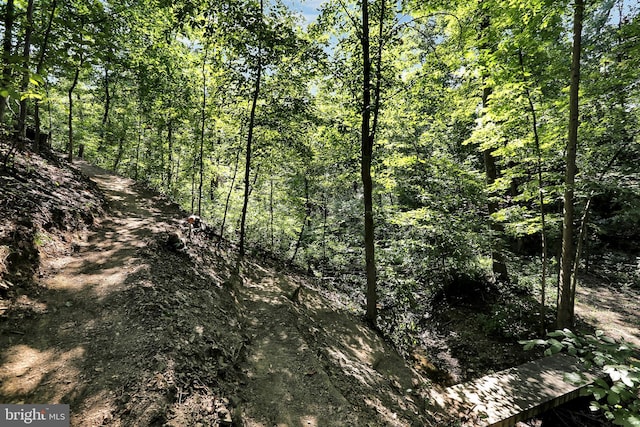 view of local wilderness with a forest view