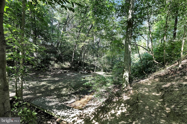 view of nature featuring a view of trees