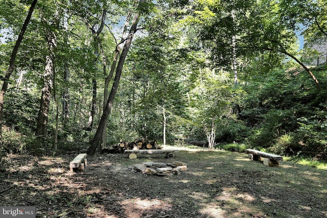 view of nature featuring a forest view