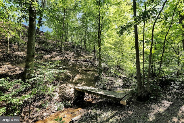 view of landscape with a forest view