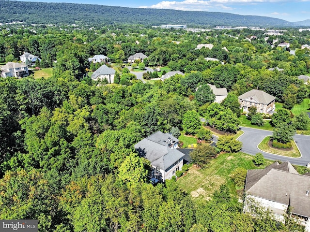 bird's eye view with a view of trees