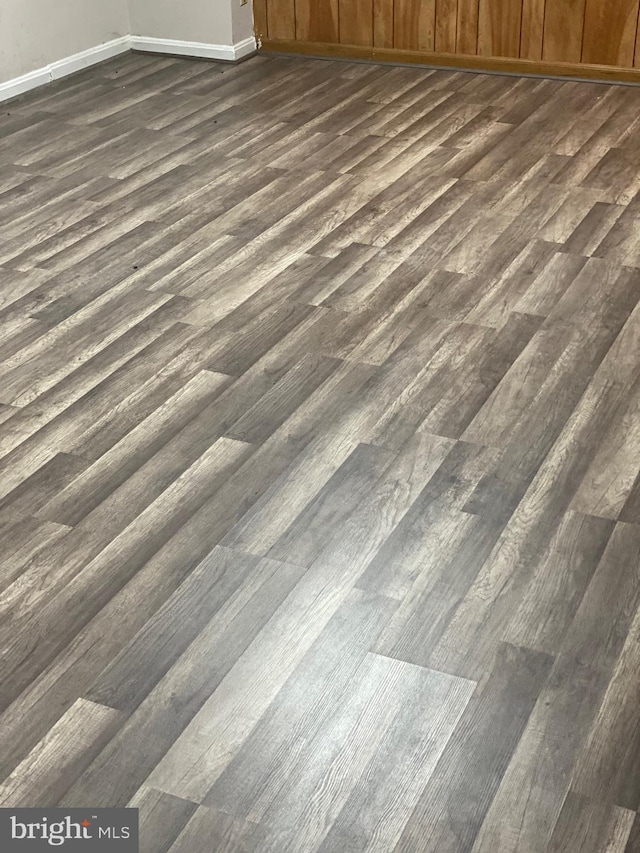 interior details featuring baseboards and wood finished floors