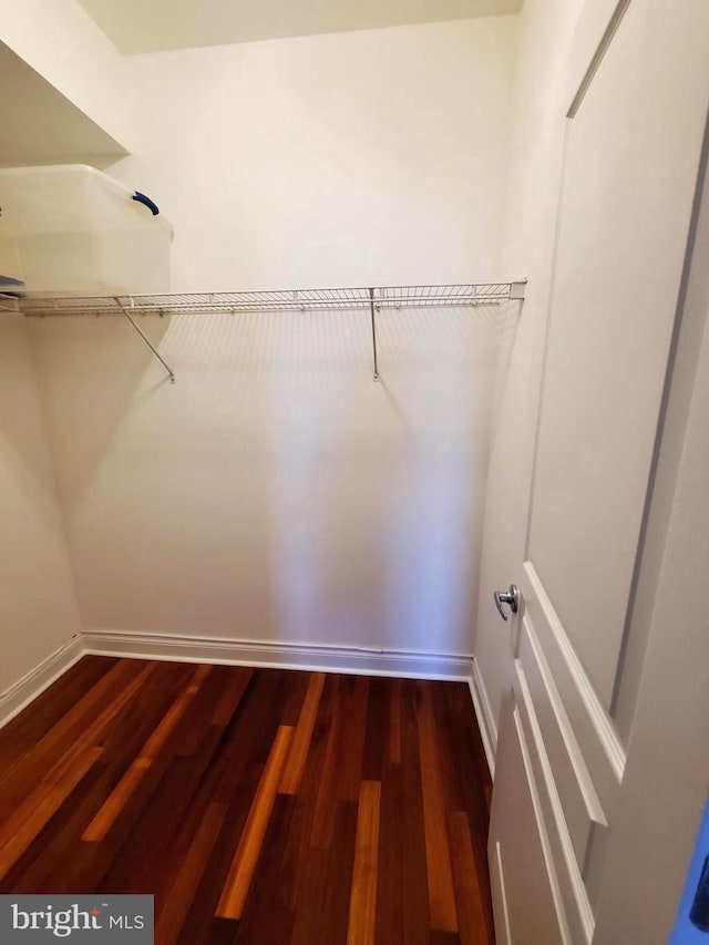 walk in closet featuring dark wood-style floors