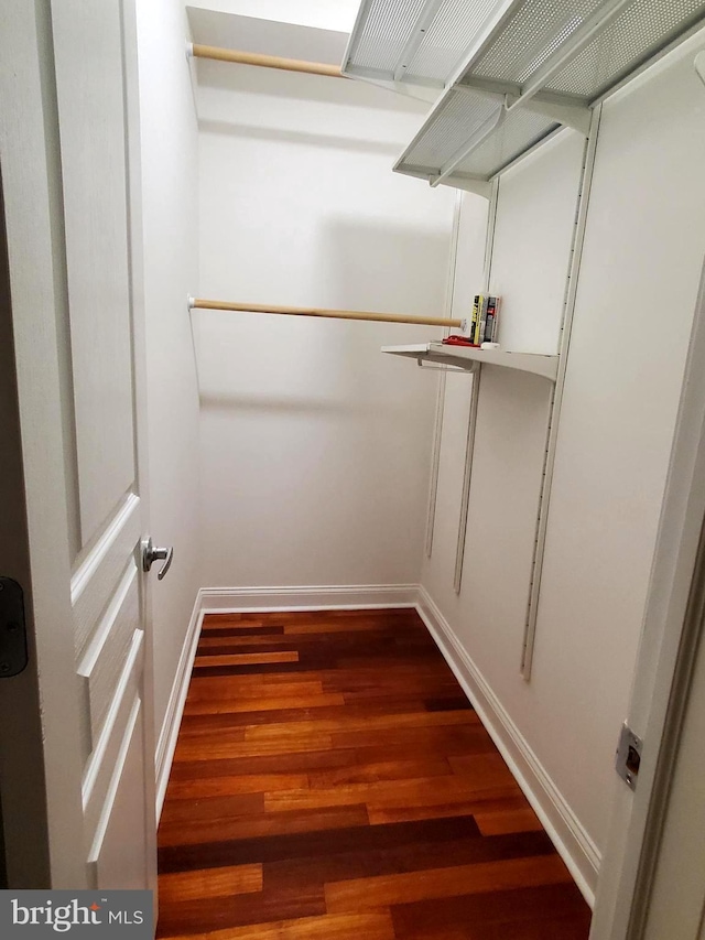 walk in closet featuring wood finished floors