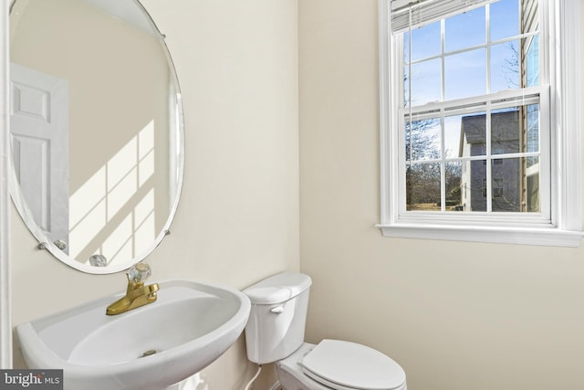 bathroom featuring a sink and toilet