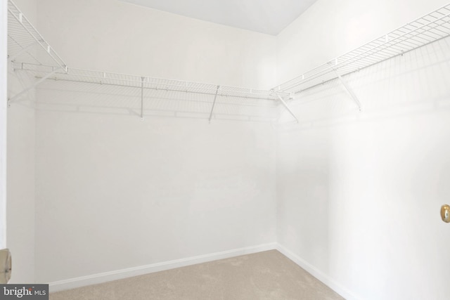 spacious closet featuring light carpet