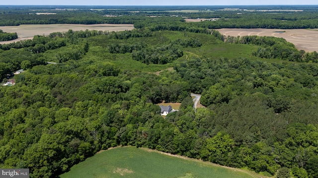 15185 Day Rd, Goldsboro, MD 21636 - view of property location featuring a forest
