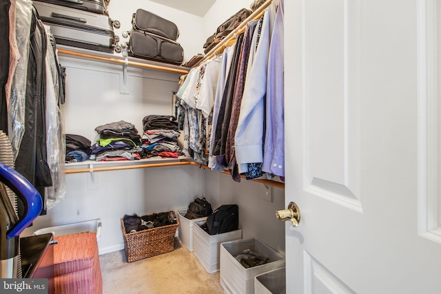 spacious closet with carpet