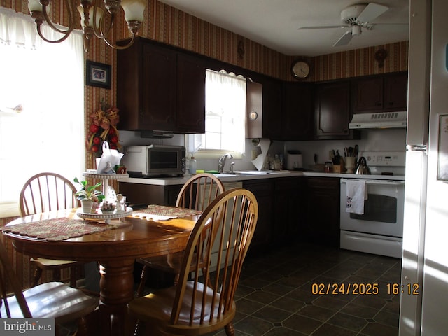 kitchen featuring under cabinet range hood, a sink, electric stove, dark brown cabinets, and wallpapered walls