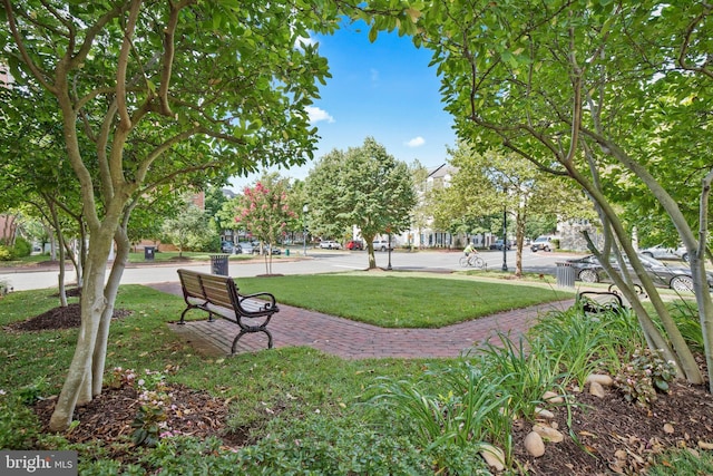 view of property's community featuring a yard