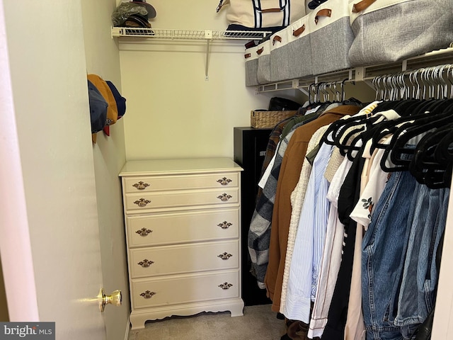 spacious closet with carpet flooring