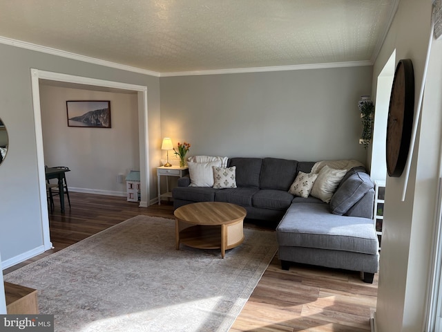 living room featuring crown molding, a textured ceiling, baseboards, and wood finished floors